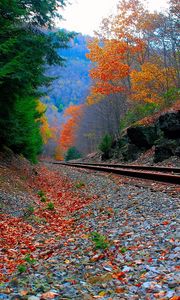 Превью обои железная дорога, небо, трава, осень