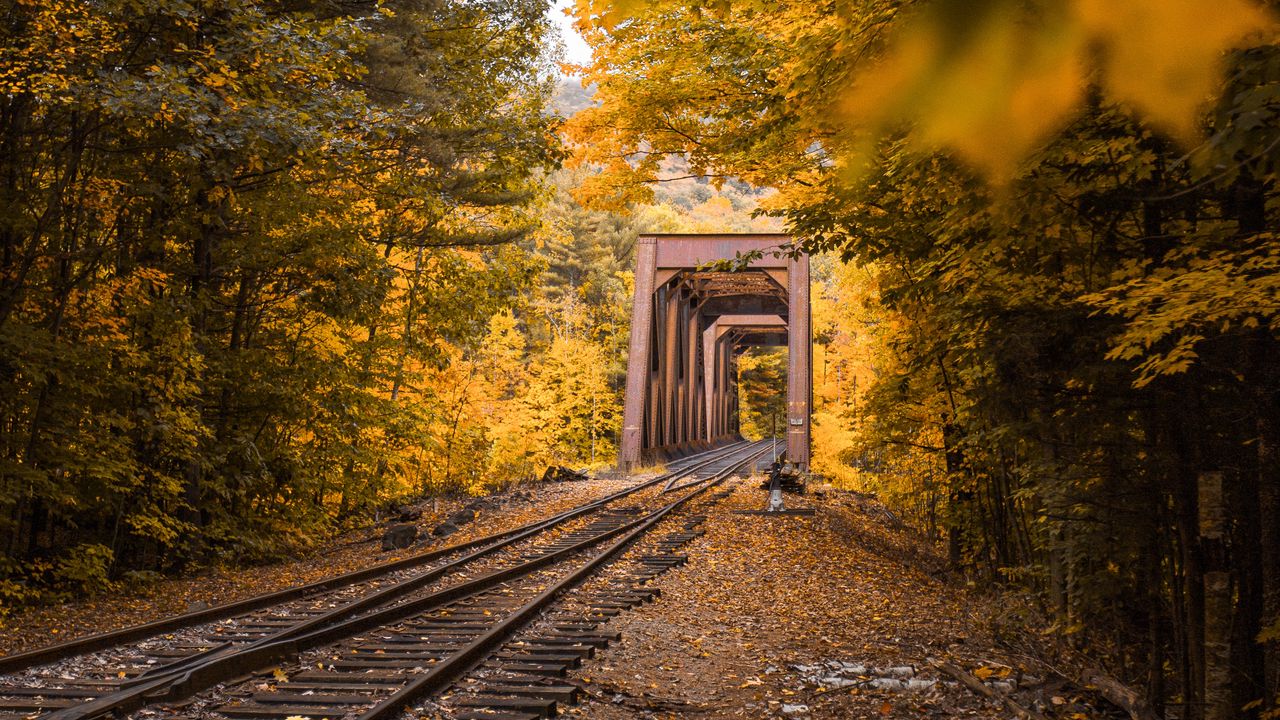 Обои железная дорога, осень, листва, деревья