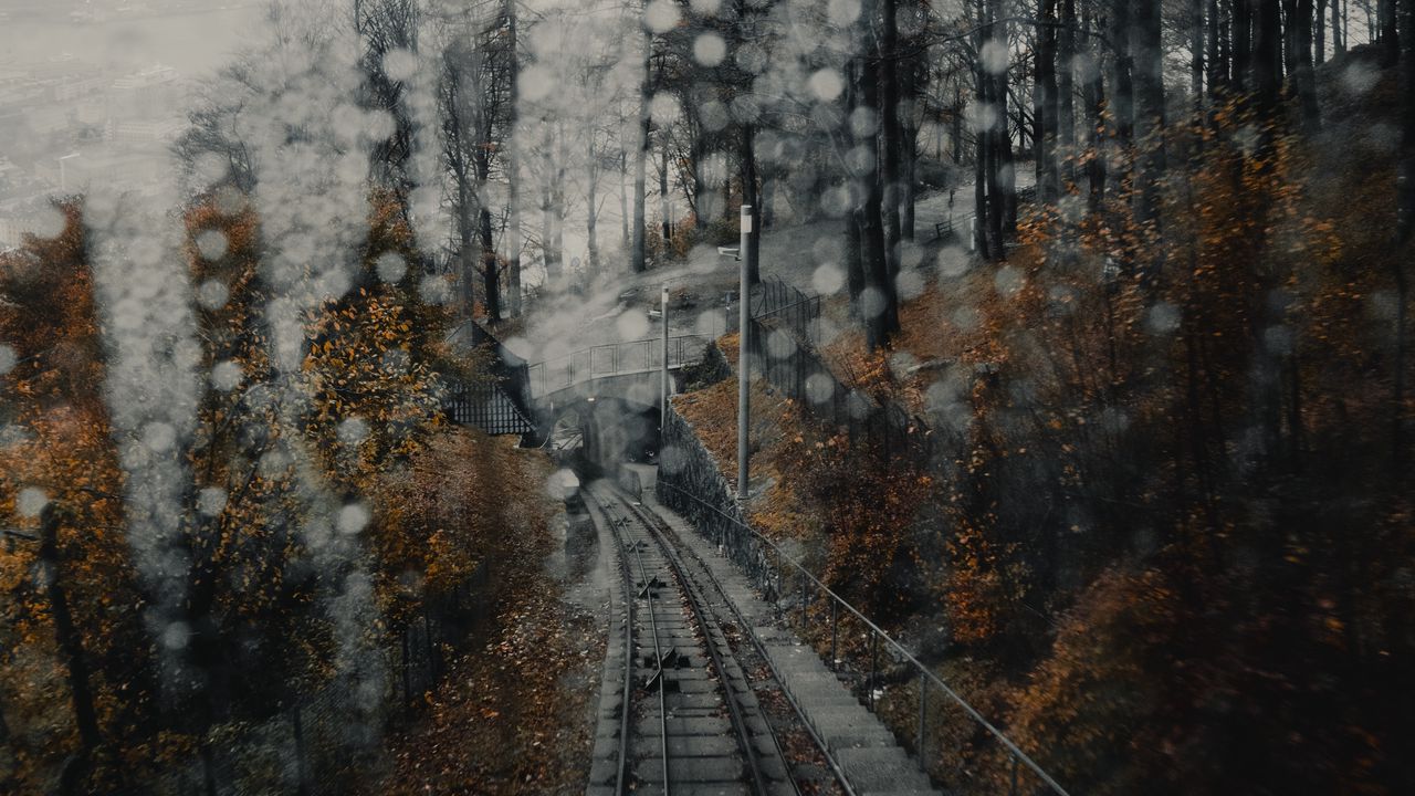 Обои железная дорога, рельсы, блики, туман, лес