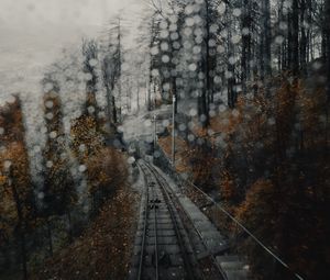 Превью обои железная дорога, рельсы, блики, туман, лес