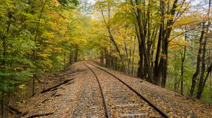Превью обои железная дорога, рельсы, деревья, осень, природа