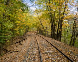 Превью обои железная дорога, рельсы, деревья, осень, природа