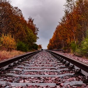 Превью обои железная дорога, рельсы, деревья, осень, пейзаж