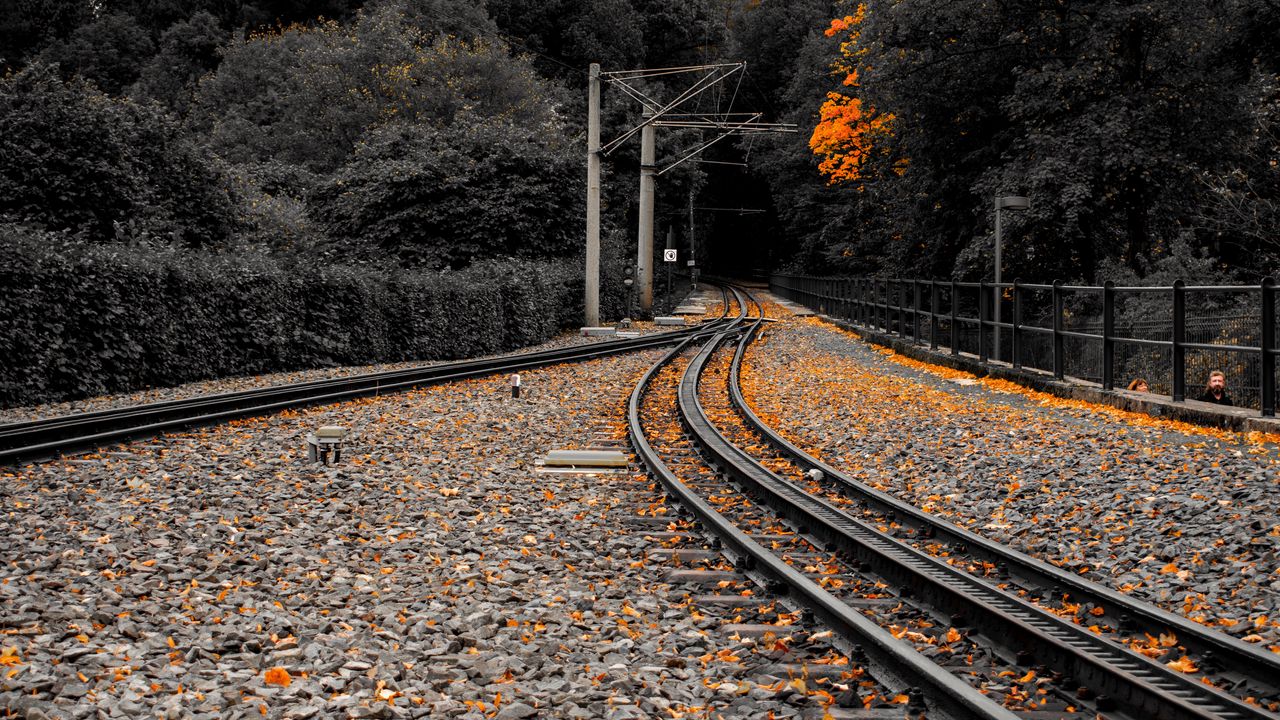 Обои железная дорога, рельсы, опавшие листья, осень