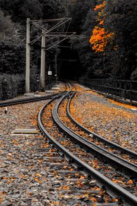 Превью обои железная дорога, рельсы, опавшие листья, осень