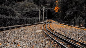 Превью обои железная дорога, рельсы, опавшие листья, осень