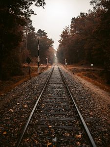 Превью обои железная дорога, рельсы, осень, деревья
