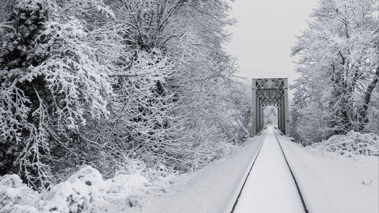 Обои железная дорога, снег, мост, деревья, зима