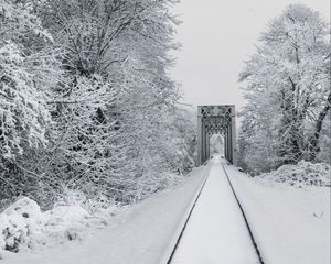 Превью обои железная дорога, снег, мост, деревья, зима