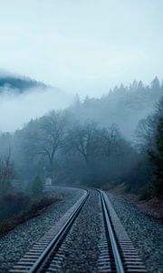 Превью обои железная дорога, туман, деревья, озеро, горы