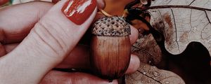Превью обои желудь, дуб, листья, рука, осень