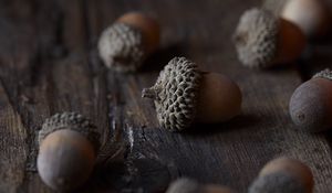 Превью обои желудь, орех, макро, коричневый