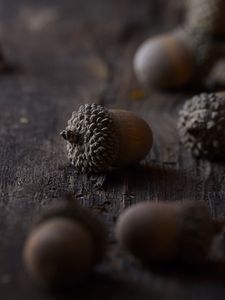 Превью обои желуди, макро, коричневый