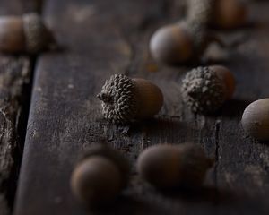 Превью обои желуди, макро, коричневый