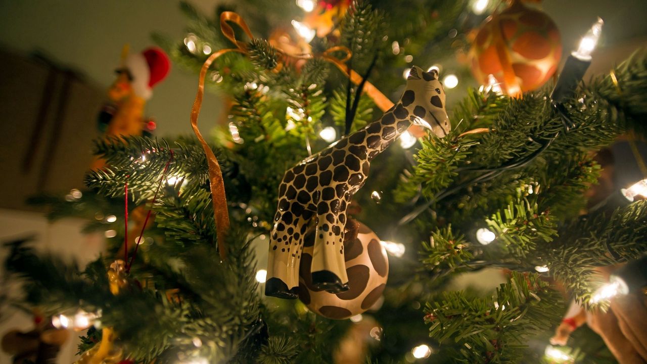 Обои жираф, елка, подарки, новый год