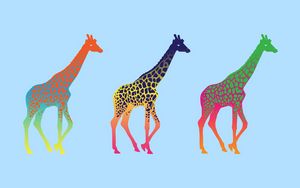 Превью обои жирафы, три, ряд, разноцветные