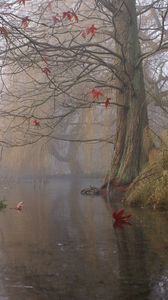 Превью обои живопись, искусство, дерево, озеро, лист, кусты, туман
