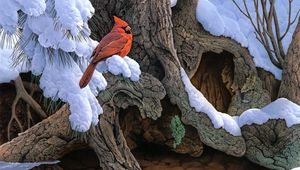 Превью обои живопись, снег, зима, дерево, птица, кардинал