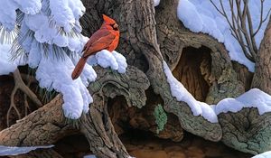 Превью обои живопись, снег, зима, дерево, птица, кардинал