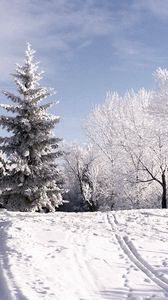 Превью обои зима, деревья, иней, лыжня, следы, снег, небо, тучи, подъем