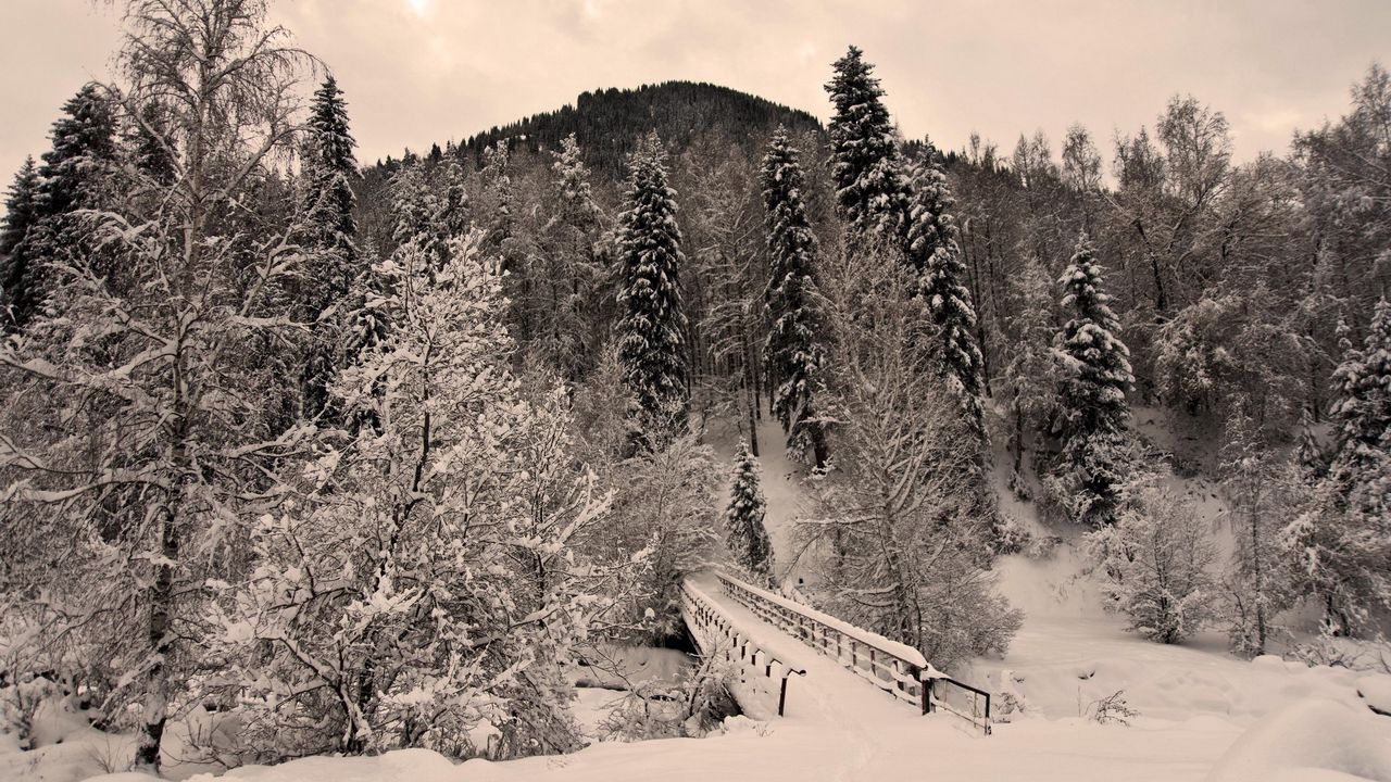 Обои зима, деревья, иней, мост, снег, жутко, мрачные, тяжесть