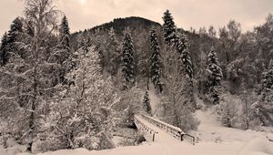 Превью обои зима, деревья, иней, мост, снег, жутко, мрачные, тяжесть