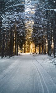 Превью обои зима, деревья, лес, дорога