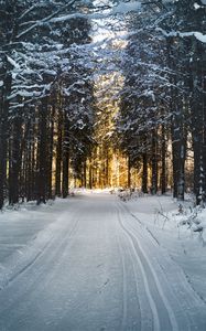 Превью обои зима, деревья, лес, дорога