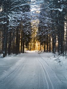 Превью обои зима, деревья, лес, дорога