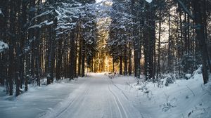 Превью обои зима, деревья, лес, дорога