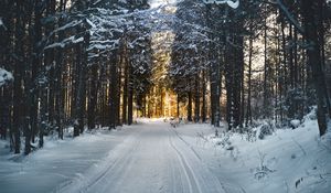 Превью обои зима, деревья, лес, дорога