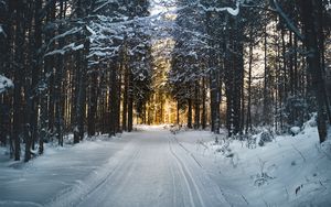 Превью обои зима, деревья, лес, дорога