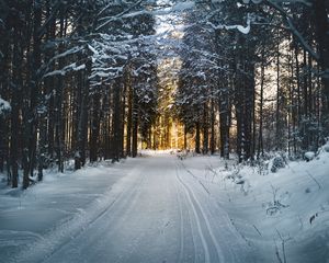 Превью обои зима, деревья, лес, дорога