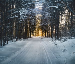 Превью обои зима, деревья, лес, дорога