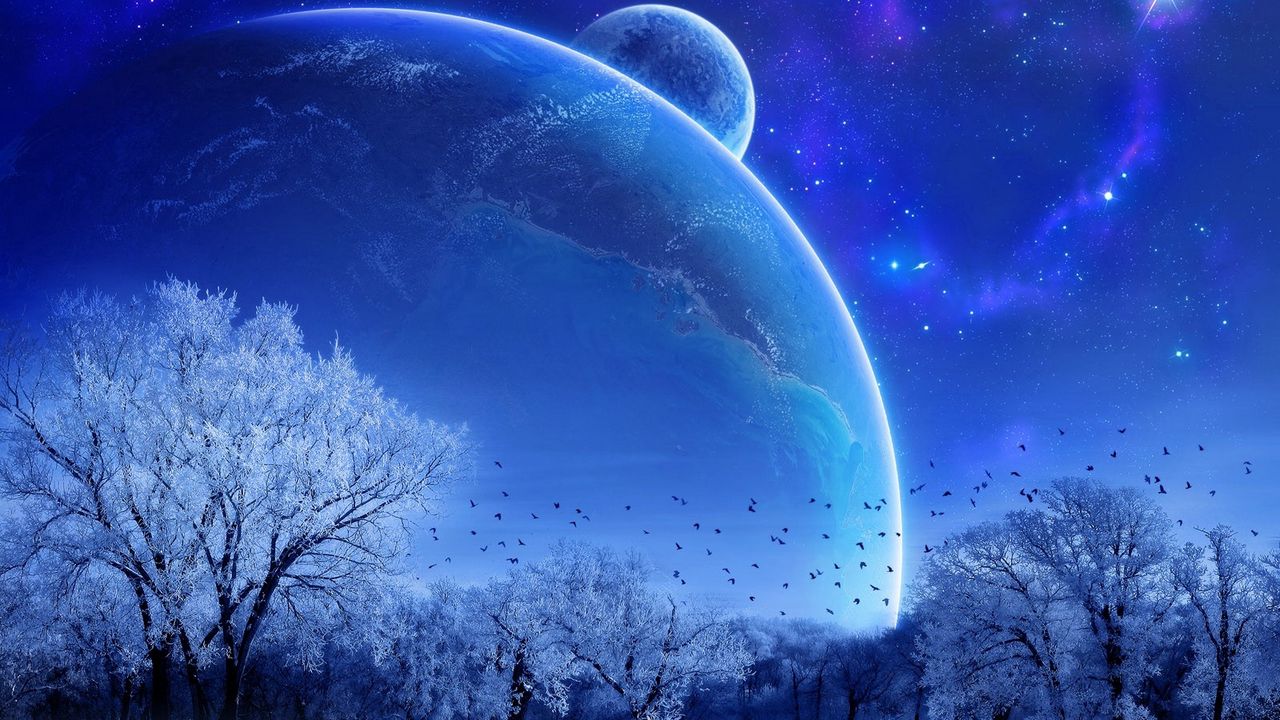 Обои зима, деревья, птицы, планеты, звезды