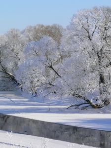 Превью обои зима, деревья, река, иней, седина, небо, белый, тени