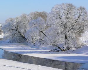 Превью обои зима, деревья, река, иней, седина, небо, белый, тени