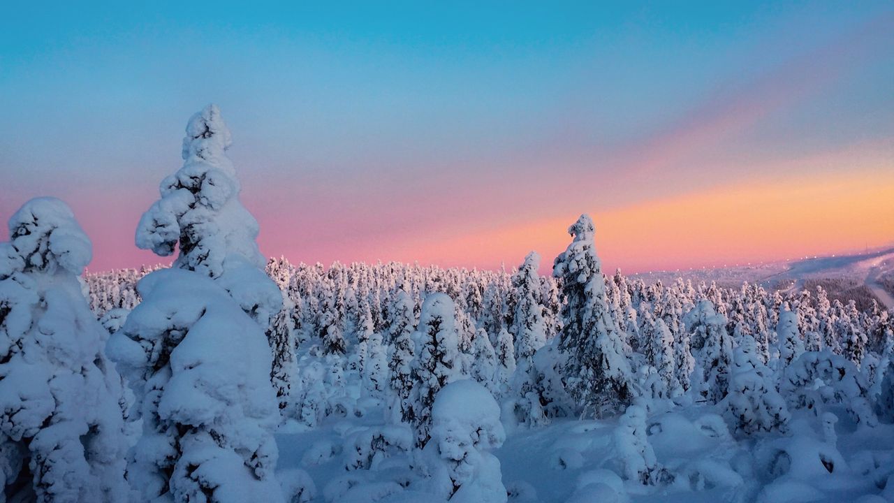 Обои зима, деревья, снег, горизонт, заснеженный