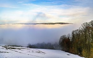 Превью обои зима, деревья, туман, небо, облака, природа