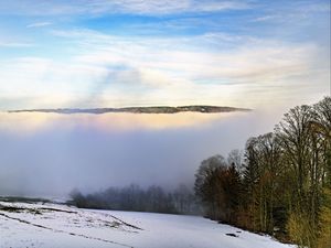 Превью обои зима, деревья, туман, небо, облака, природа
