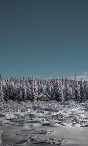 Превью обои зима, домик, снег, деревья, горизонт, небо