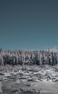 Превью обои зима, домик, снег, деревья, горизонт, небо