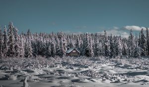 Превью обои зима, домик, снег, деревья, горизонт, небо