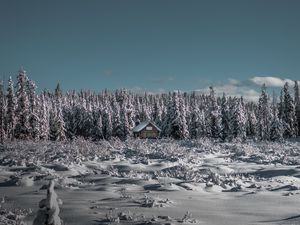 Превью обои зима, домик, снег, деревья, горизонт, небо