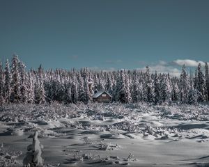 Превью обои зима, домик, снег, деревья, горизонт, небо