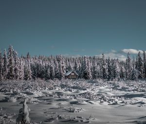 Превью обои зима, домик, снег, деревья, горизонт, небо