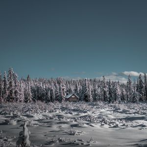 Превью обои зима, домик, снег, деревья, горизонт, небо