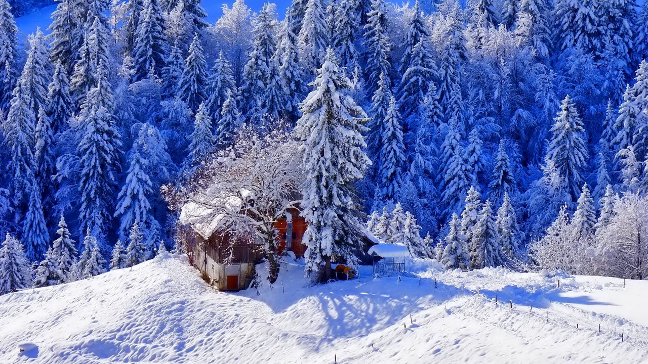 Обои зима, домик, возвышенность, снег, деревья