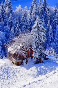 Превью обои зима, домик, возвышенность, снег, деревья