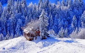 Превью обои зима, домик, возвышенность, снег, деревья
